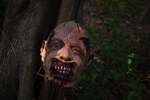 Halloween Zombie Head Prop - Life-Size Severed Latex Head for Haunted House Decor - Variation C