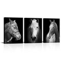 Black White Horse Canvas Wall Art Set - 12x16 Inch Modern Horse Portraits