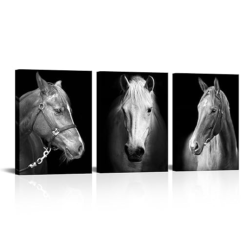 Black White Horse Canvas Wall Art Set - 12x16 Inch Modern Horse Portraits