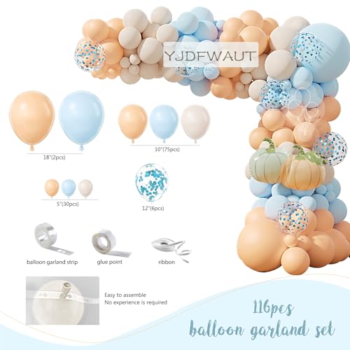 Fall Pumpkin Baby Shower Decorations Party Supplies Set for Boy