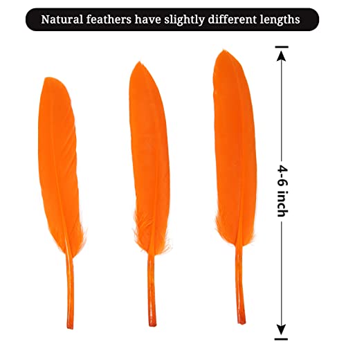 Orange Goose Cochettes Feather Bulk 120pcs 4-6 Inch for DIY Crafts & Decorations