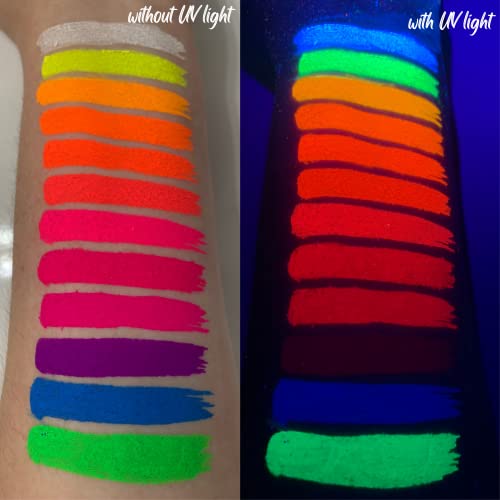 Neon Face Body & Nail Paint Pigment Powder Kit 12 Colors - Variation 2
