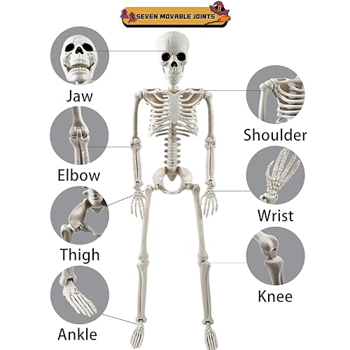 Halloween Skeleton Decoration Set - Life Size Posable Human Skeletons 4 Pack