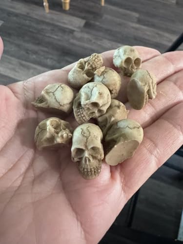 Mini Resin Skull Decor Set - Spooky Halloween Skeleton Head Figures, 20 Pieces