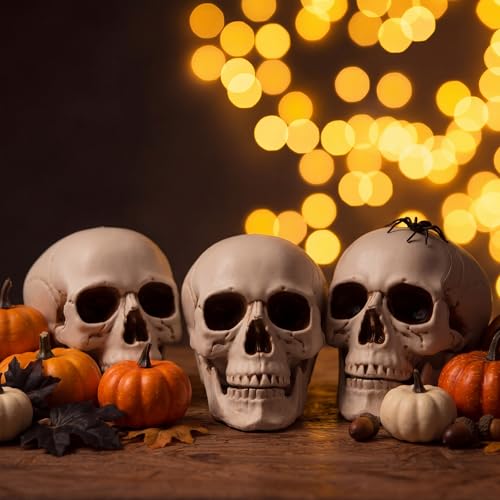 Halloween Human Skull Model - 8.7 Inch Fake Skull Decor Set of 4 - Realistic Plastic Skeletons for Spooky Parties
