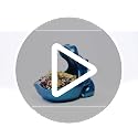 Hippo Key Holder Statue - Blue Candy Dish & Decorative Figurine - Variation: Blue A