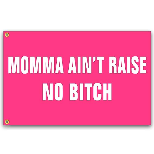 Funny Pink College Dorm Flag 3x5 Ft Wall Banner for Room Decor - Momma Ain't Raise No Bitch Gift