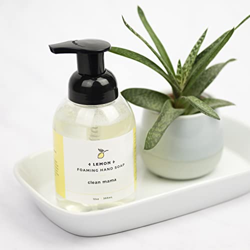 Foaming Hand Soap - Plant-Derived & Nourishing with Essential Oils - Lemon / 12 Fl Oz