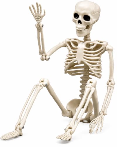 16-Inch Plastic Full Body Skeleton Halloween Decoration - Posable Hanging Skeleton for Haunted House & Graveyard Props
