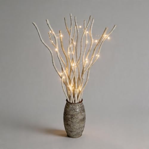 White Dried Curly Willow Branches - 15 Stems, 18-19 Inch Natural Birch Decor