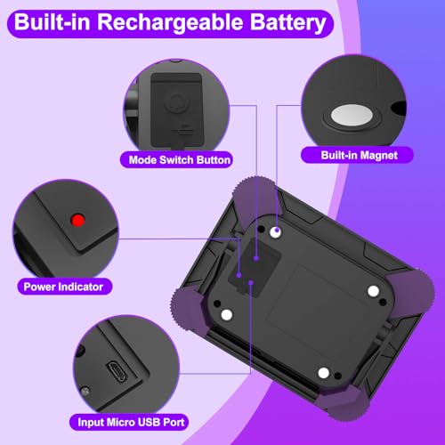 Rechargeable UV Black Light with 405nm Purple Variation, High & Low Modes