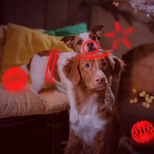 500 PCS Red Glow Sticks Bracelets & Necklaces Bulk with Connectors - Glow in The Dark Party Supplies - Variation: 500red