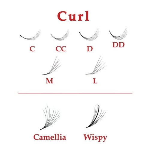 1200 Premade volume fans eyelash extension | 8 sizes-in-1 round mixed box | Includes lengths 9-16mm | C, CC, D, M, L curl| For professional lash artists | 6D Volume (L+ Curl 90°)