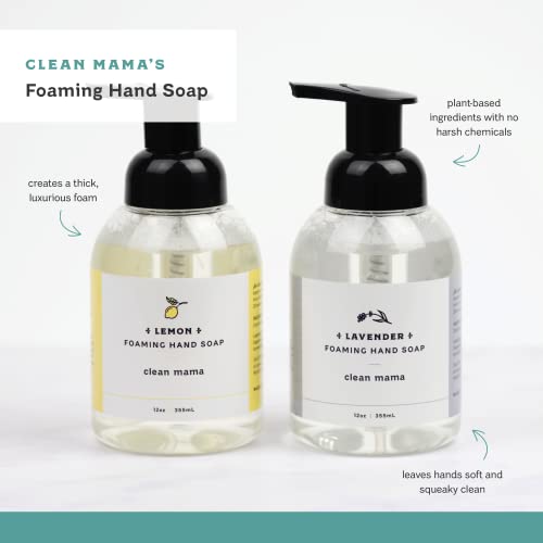 Foaming Hand Soap - Plant-Derived & Nourishing with Essential Oils - Lemon / 12 Fl Oz