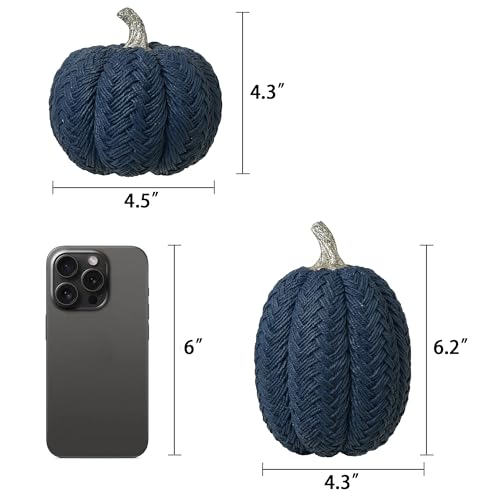Blue Fall Pumpkins Set of 2 - Small Resin Braided Autumn Table Decor