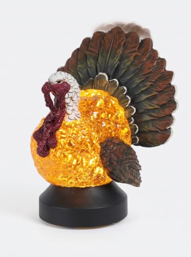 Thanksgiving Turkey Snow Globe Lantern - Fall Decor with Swirling Glitter & Timer - Lighted Halloween Tabletop Decoration - Battery & USB Powered - Thanksgiving Turkey Variation