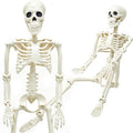 3FT Skeleton Halloween Decorations - Life Size Posable Skeleton with Joints
