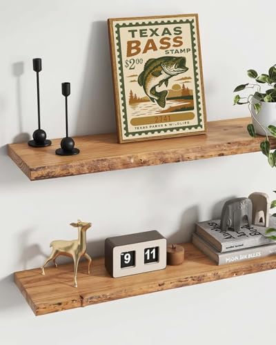 Largemouth Bass Wall Art - Vintage Framed Canvas Poster for Man Cave & Lake House