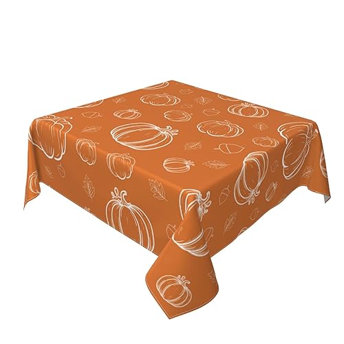 Fall Square Tablecloth 60x60 Inch White Pumpkins Orange Harvest Thanksgiving
