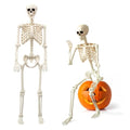 Life Size Skeleton Halloween Decoration 5.4FT - Easy to Pose & Reusable - Oceanite