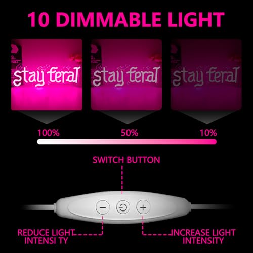 Stay Feral Neon Sign - Gothic Wall Decor LED Light for Bedroom & Halloween, Variation of THIS listing
