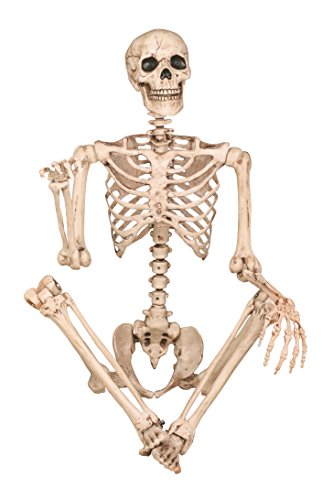 Pose-N-Stay Life-Size Halloween Skeleton - 5 FT, Realistic, Fully Poseable - Crazy Bonez