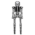 8.3 Ft Giant Poseable Skeleton Balloon for Halloween Party & Decorations