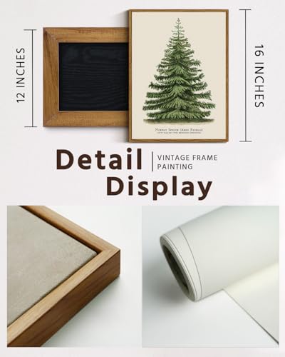 Framed Botanical Fir Pine Tree Wall Art - Winter Holiday Decor, 16x12 Inch - Variation of Fir Pine Tree / 16"L x 12"W