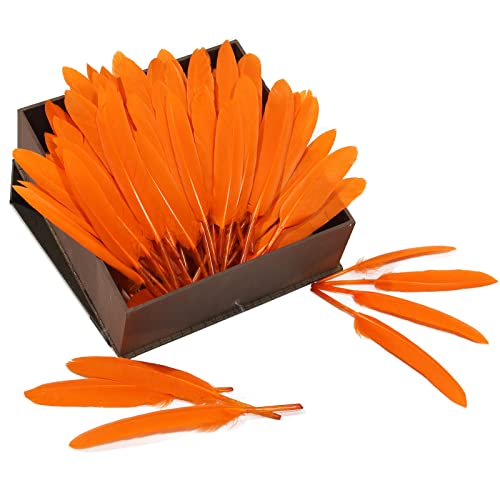 Orange Goose Cochettes Feather Bulk 120pcs 4-6 Inch for DIY Crafts & Decorations