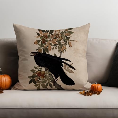 Gothic Halloween Crow Throw Pillow Cover 18x18 Inch Raven Decor