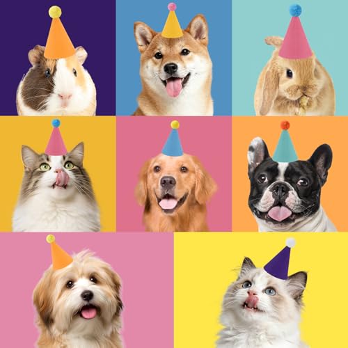 Colorful Mini Party Hats for Dolls, Pets, & Stuffed Animals - 6 Pack