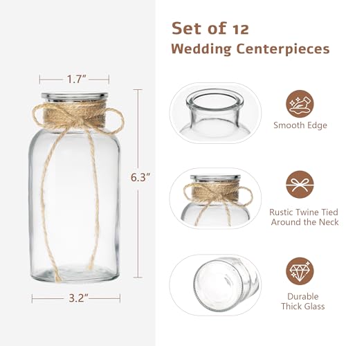 Set of 12 Clear Glass Vases with Twine Ties for Wedding & Home Decor