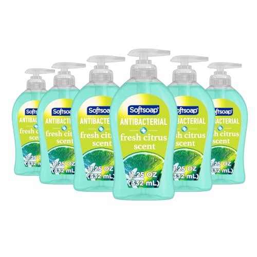 Softsoap Antibacterial Liquid Hand Soap with Fresh Citrus Scent - 11.25 fl oz (6 Pack)