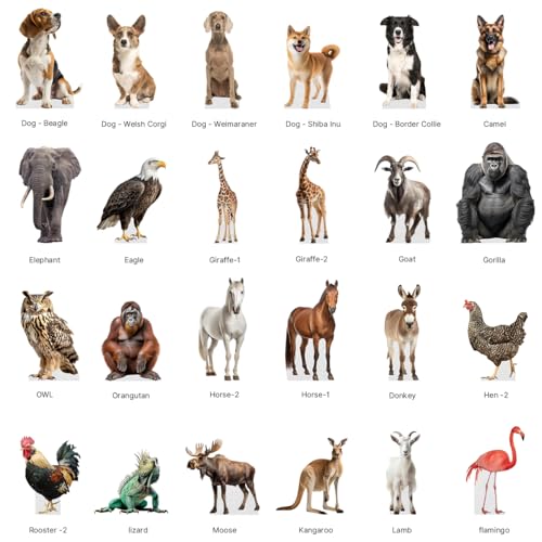 Life Size Wolf Cardboard Cutout Standee - Feline & Animal Support Decor