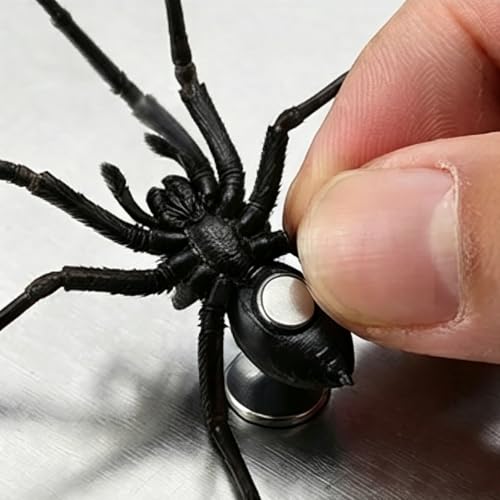 6 Pack Realistic 3D Spider Magnets for Fridge Car Garage Halloween Decor