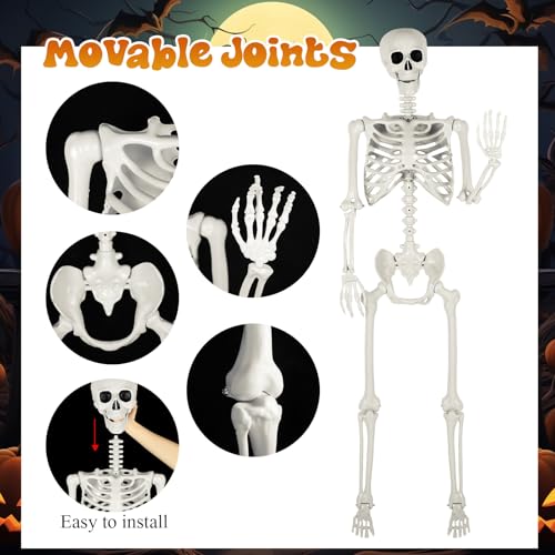 Halloween Coffin with Skeleton Set - Black, Lifelike & Collapsible