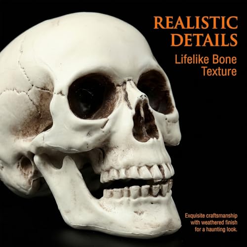 White Mini Skull Decorations - 6 Pack 5 Inch Plastic Skeleton Heads for Halloween Crafts & Outdoor Decor