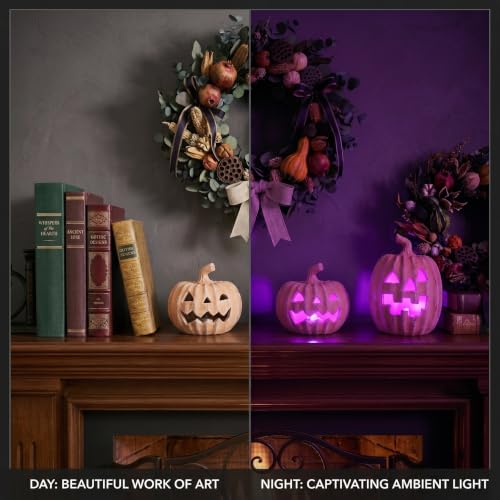 Orange Terracotta Jack-o’-Lantern LED Halloween Pumpkin Decor Set of 2