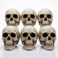 White Mini Skull Decorations - 6 Pack 5 Inch Plastic Skeleton Heads for Halloween Crafts & Outdoor Decor