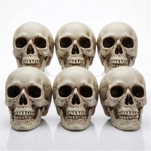 White Mini Skull Decorations - 6 Pack 5 Inch Plastic Skeleton Heads for Halloween Crafts & Outdoor Decor