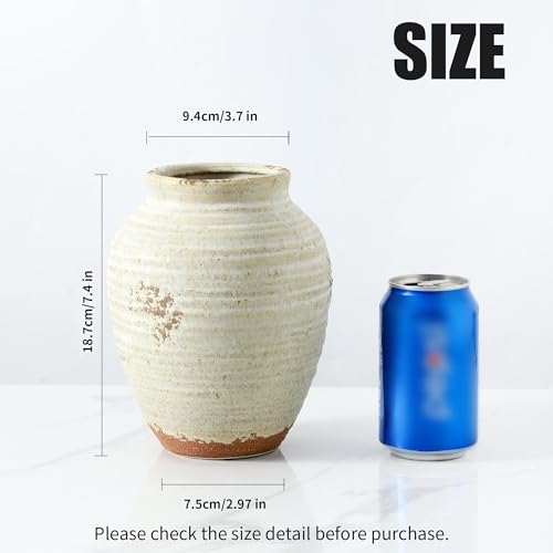 Ceramic Decorative Vase 7.4 Inch Rustic Farmhouse Flower Vase - Variation 205-3-7.4in