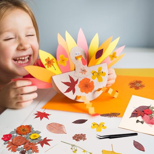 Fall Dried Pressed Flowers Leaves with Tweezers - 140 Pcs Autumn DIY Crafts & Decorations - Variation of Fall 140pcs