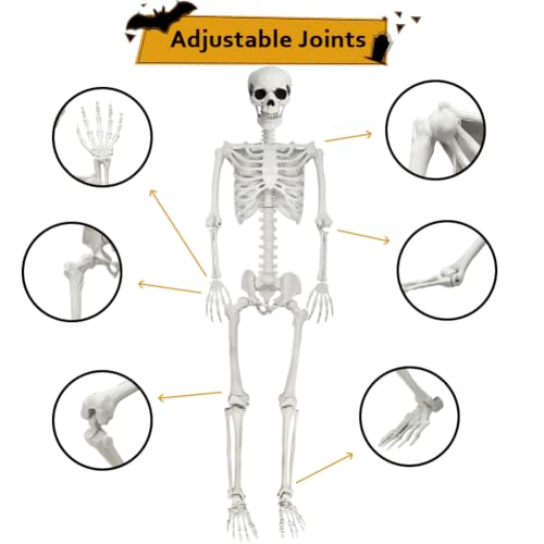Life Size Halloween Skeleton with Movable Joints - 5.4ft & 3ft Spooky Decor Set