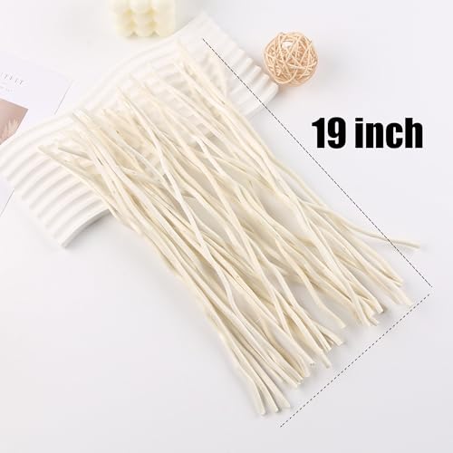 White Dried Curly Willow Branches - 15 Stems, 18-19 Inch Natural Birch Decor