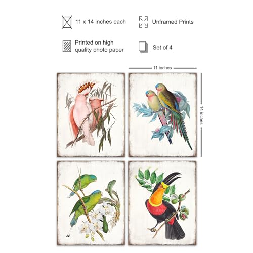 11x14 Tropical Bird Wall Art Set - Exotic Parrot, Lovebird, Toucan & Cockatoo Prints - Unframed Bird Decor - Variation 1