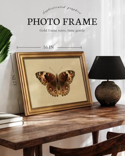Vintage Butterfly Wall Art - Gold Frame 12x16 Inch, Peacock Pansy Variation