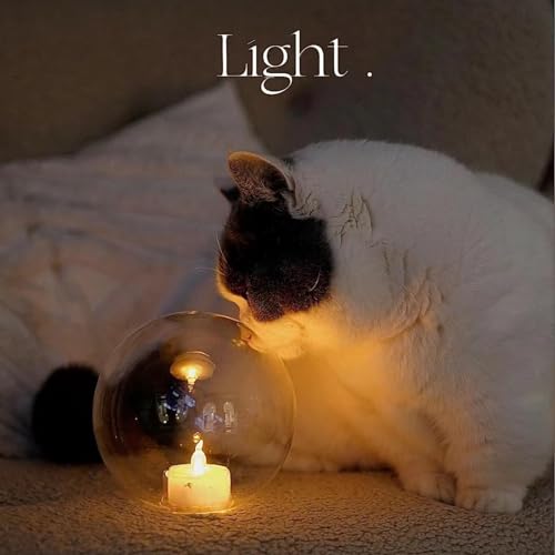 48Pcs Flameless Battery-Operated Tea Lights Candles with Drop Wax Shape - SupBri
