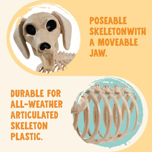 24-Inch Posable Dog Skeleton Halloween Decoration - Indoor Outdoor Spooky Prop
