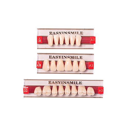 Dental Synthetic Resin Teeth Replacement Full Set A3 - Halloween Props, Dentures 438+U38+32