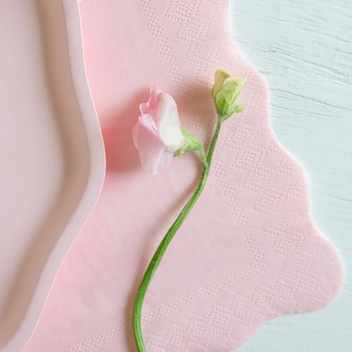 Pink Large Eco Napkins - 6.5 Inch Pack of 20 for Parties & Celebrations - Light Pink Variation